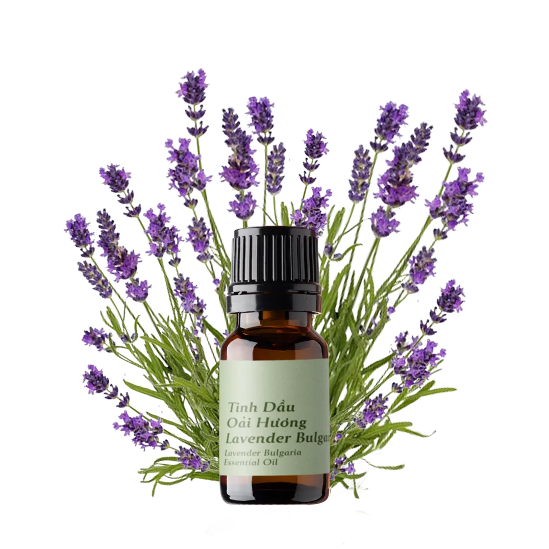 Lavender Bulgaria Essential Oil