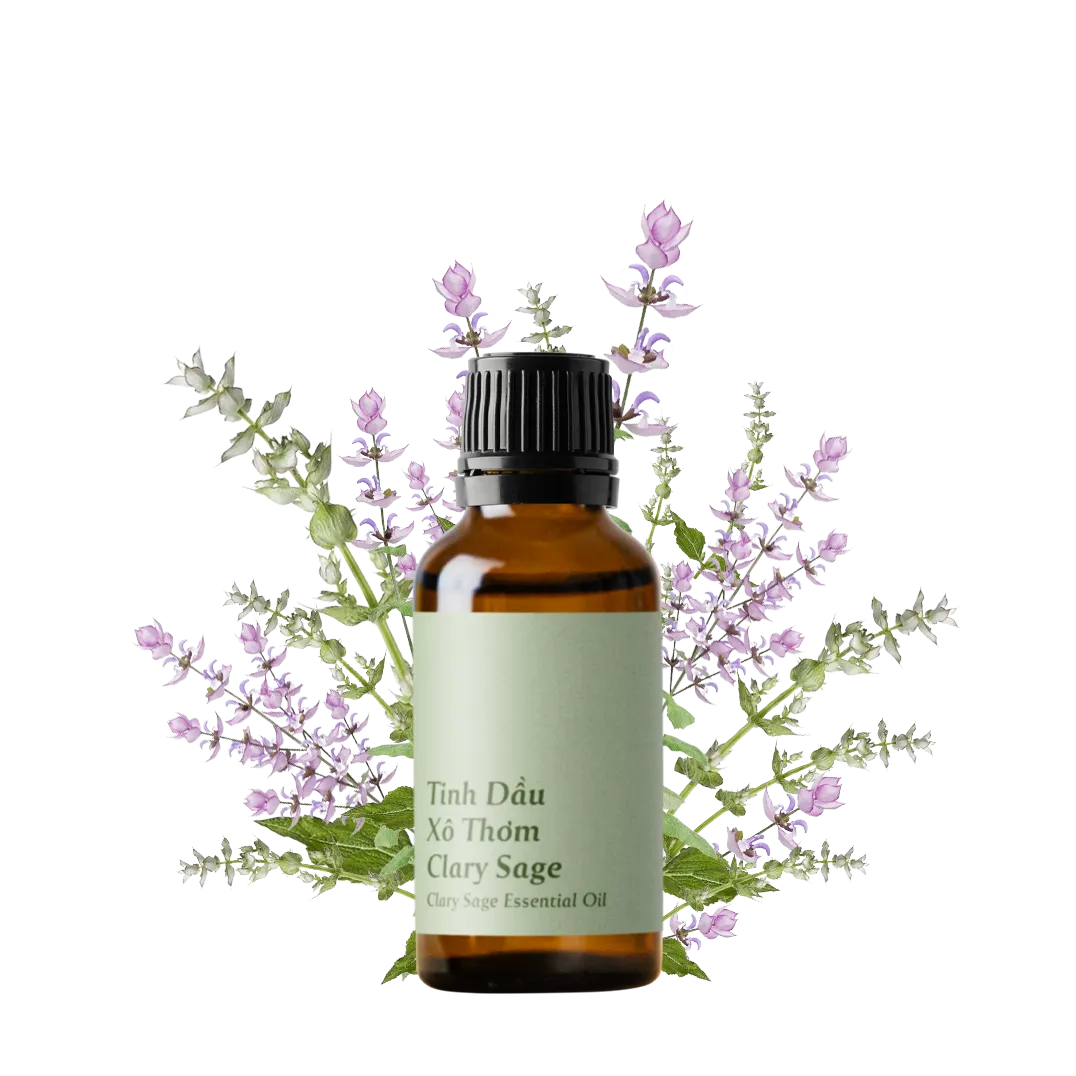 Clary Sage Essential Oil