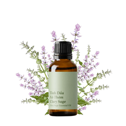 Clary Sage Essential Oil