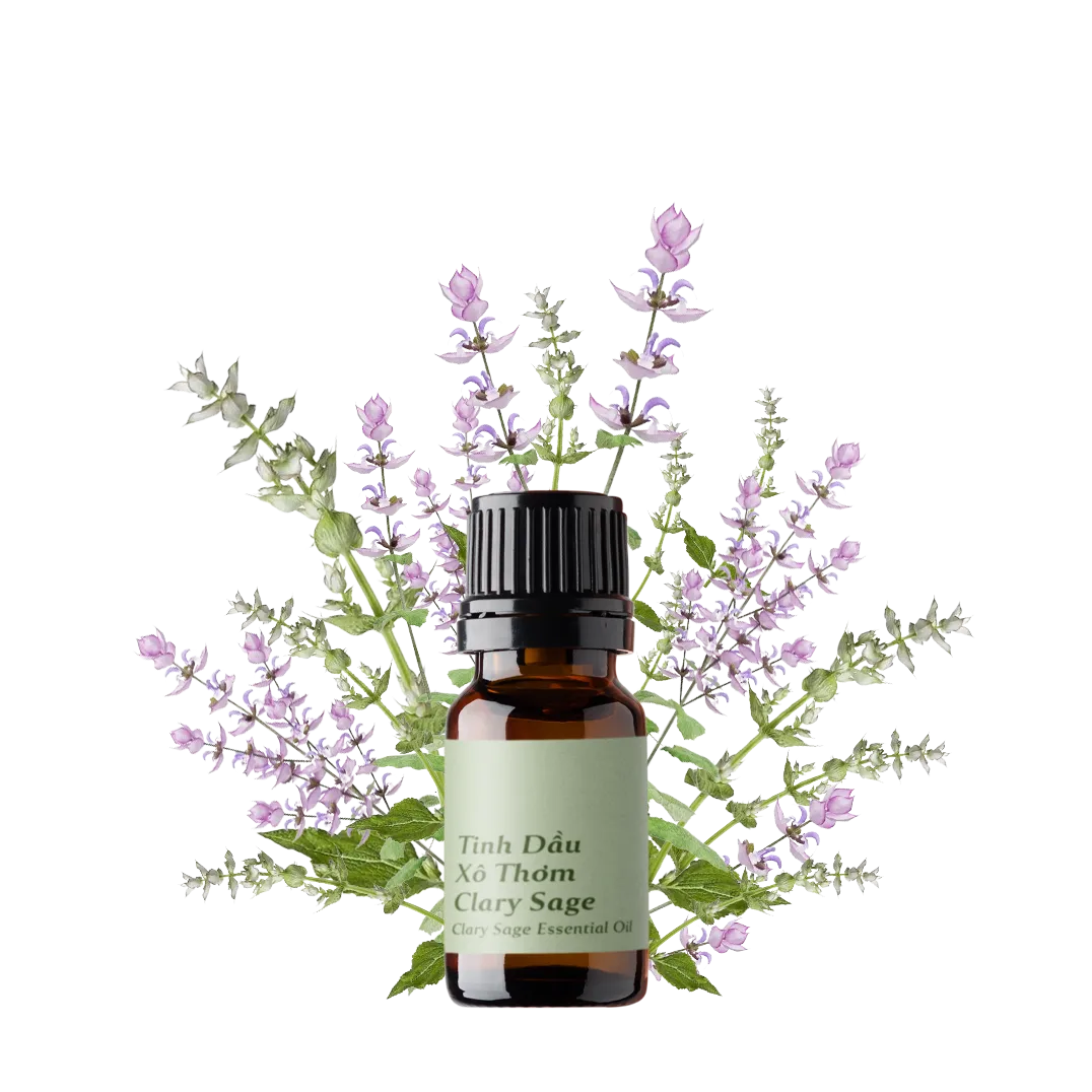 Clary Sage Essential Oil