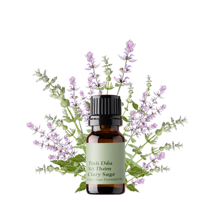 Clary Sage Essential Oil